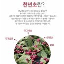 70인식품 이미지