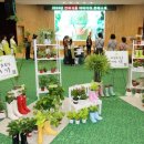 생활원예(반려식물) 이미지