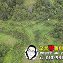 동영천IC주유소
