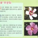 과천 한국마사회 경마공원 무궁화 사진 전시회 팜플렛-2 이미지