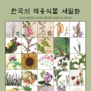 보타니컬아트(식물세밀화) 이미지