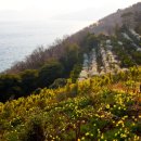 영일운수 이미지