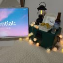 노리댕댕 이미지