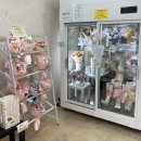 세븐일레븐 원주공원점 | 원주 꽃집 꽃배달 무인픽업 가능한 더피어나다 후기