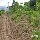 갯벌농장 이미지