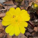 오산양지 이미지