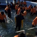 사랑나무민박 이미지