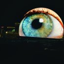 (주)엠에스지 이미지