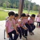 배곧새솔어린이집 이미지