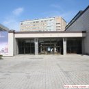 서울대학교 이미지