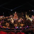 함평읍사무소 | 함평 겨울빛축제 다녀온 솔직한 후기랑 주차 꿀팁