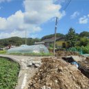 대치 보건지소 이미지