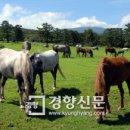 말