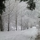 정선베다니자연농장 이미지