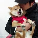 신나라마트 이미지
