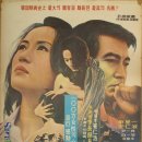 별들의고향 - 강릉시 | 별들의고향