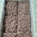 참조은떡 이미지