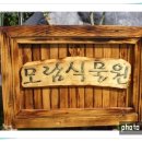 모람식물원 네이버블로그