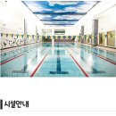 판교로31번길 네이버블로그