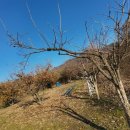 공주행운부동산공인중개사사무소 이미지