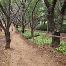 전재울근린공원 이미지