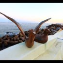 평해목장 이미지