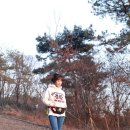 리드펫 이미지