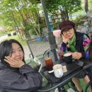 유포리아 Daum카페