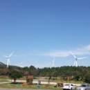 승마체험코스 이미지