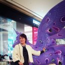 로이덕 이미지