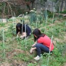 명진중학교 이미지