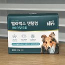 벨라켄넬 | 부드러운 치석제거껌 벨라백스 덴탈껌 추천