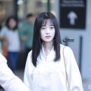키쿠 이미지