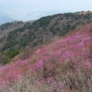 대곡산 Daum카페