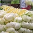 김광수농장 이미지