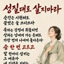 성질대로 살지 마라 이미지