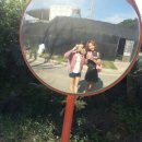 멍멍아 미용하자 | 2014.09.23(화요일) 남양주유기견보호소봉사후기입니다~♡