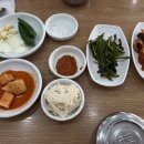 시골한방돼지국밥 | 부산 부민동 동아대학교 부민캠 근처 맛집 시골한방돼지국밥 부민점 내돈내산 후기