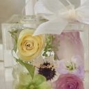 블루밍 플라워 앤 가든 이미지