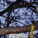 해제남초등학교 이미지