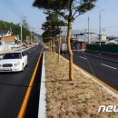 외고앞 이팝나무가로수 이미지