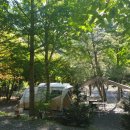 모야의숲 캠핑장 이미지