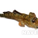 거차뻘배체험장 이미지