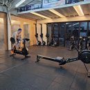 250110 Bike, Row, Burpee 이미지