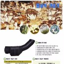 은준축사 이미지