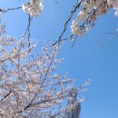 강물놀이터 이미지