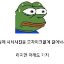 설악산 국립공원 출입금지 논란 이미지