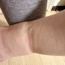 다산 필라테스 시작 전, 쥬비스 다이어트로 정체기 극복한 이유