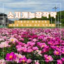 여주가야자동차