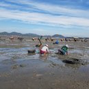 법산어촌계 이미지